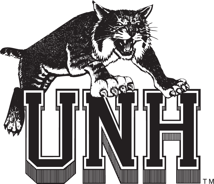 New Hampshire Wildcats 1993-2000 Secondary Logo v4 t shirts iron on transfers